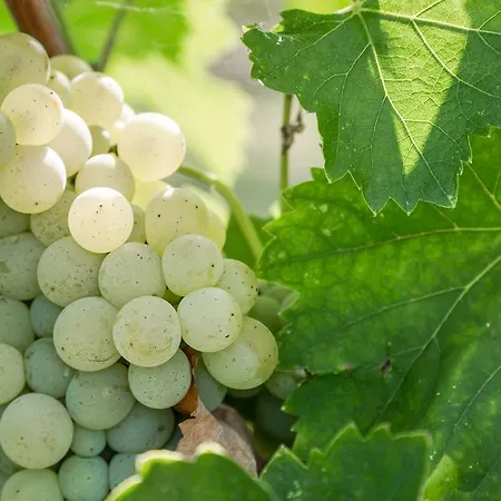 Cascina Borghetta *