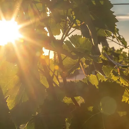 Cascina Borghetta *