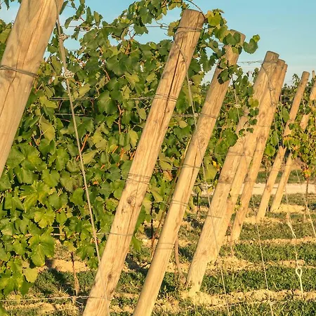 Cascina Borghetta * Sirmione