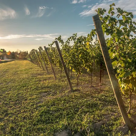 Vakantieboerderij Cascina Borghetta Sirmione